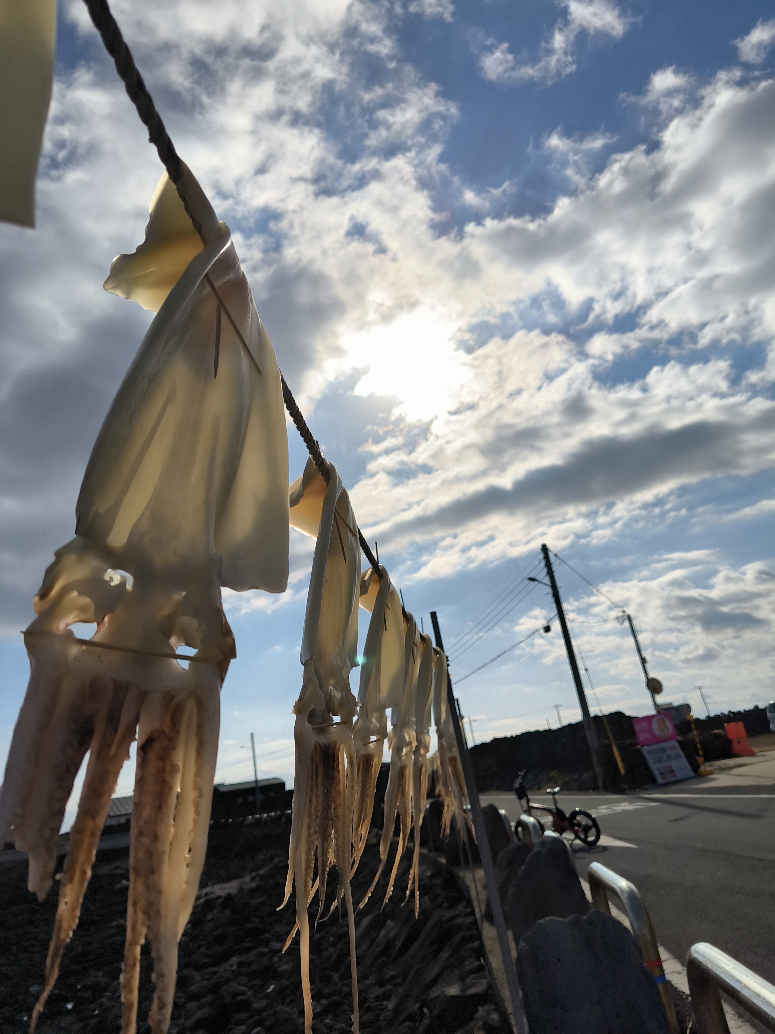 牛岛风俗：晾晒鱿鱼干