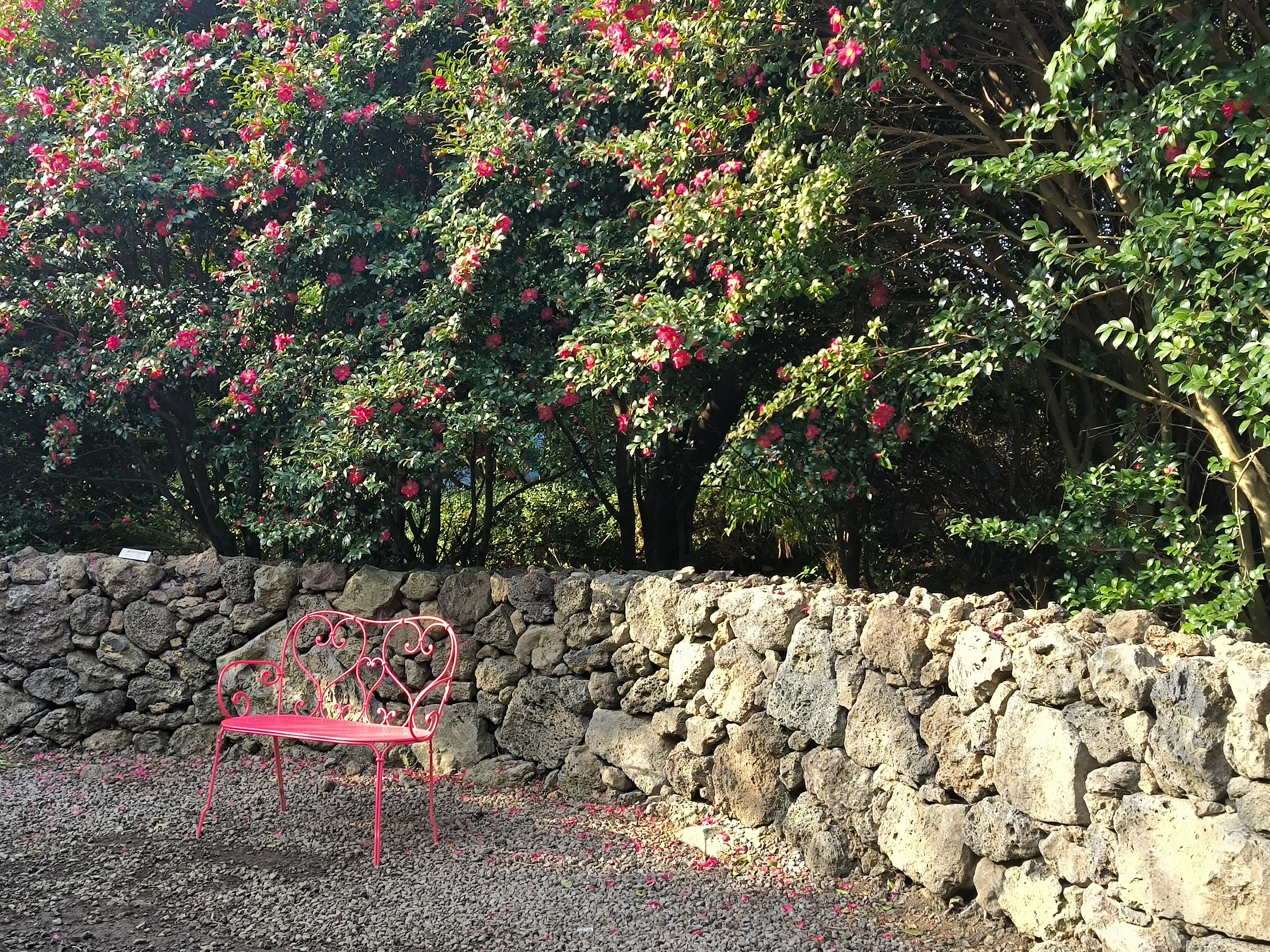 一个看起来很火的机位，趁没人拍了一张