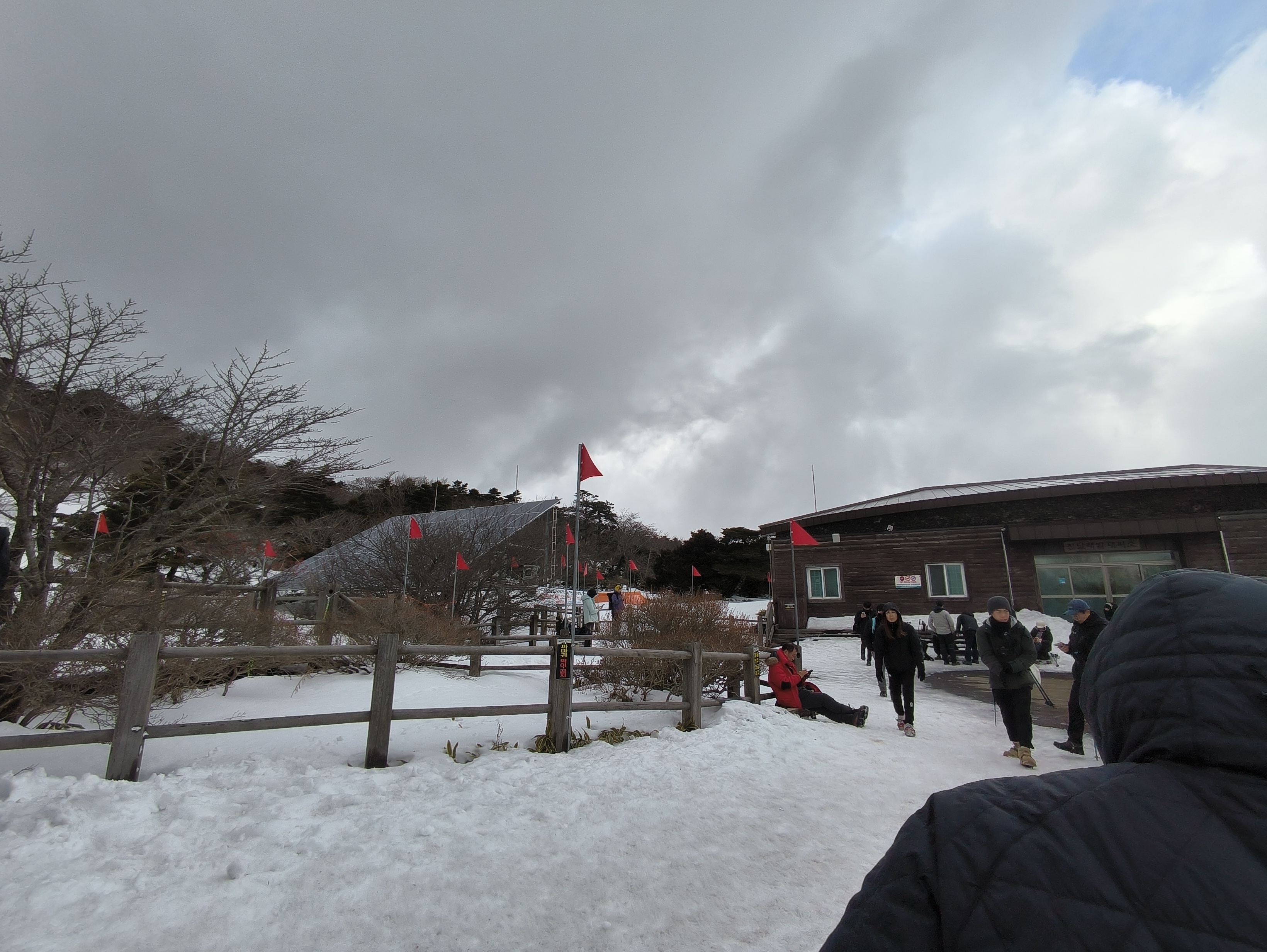 抵达杜鹃花田避难所