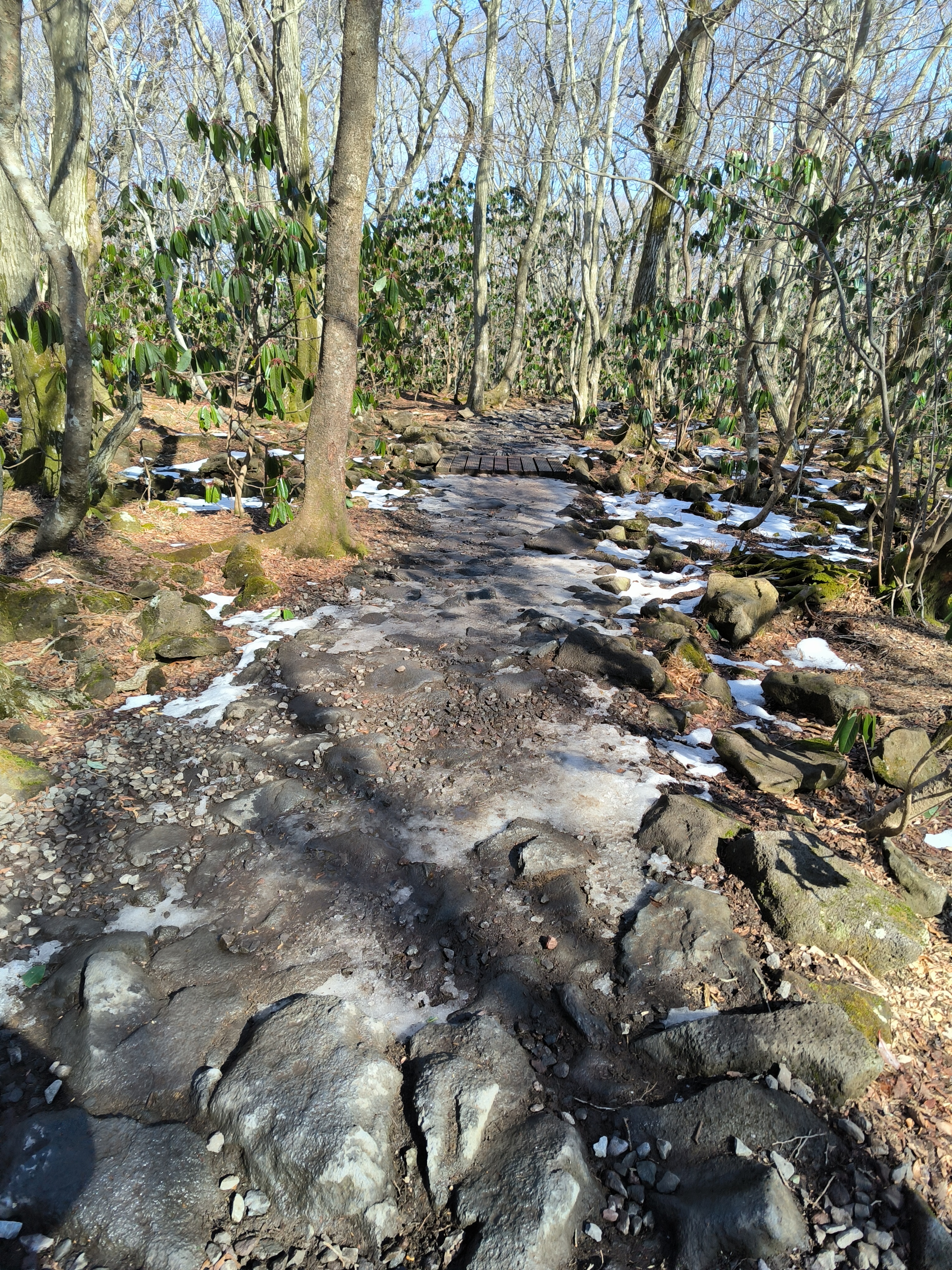 积雪融化后露出了原本的火山石路面